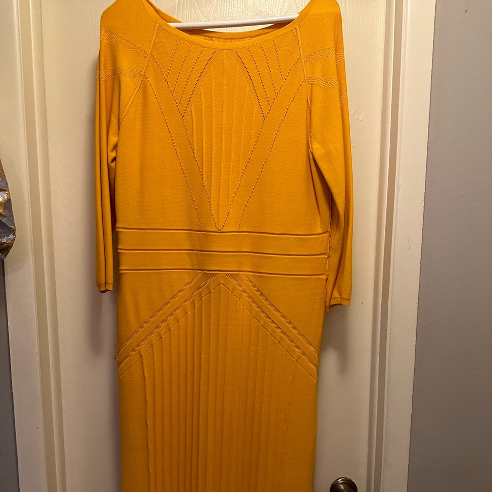 Nice knit dress.  Never worn it.